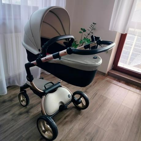 Kočík mima xari, mima,mima xari