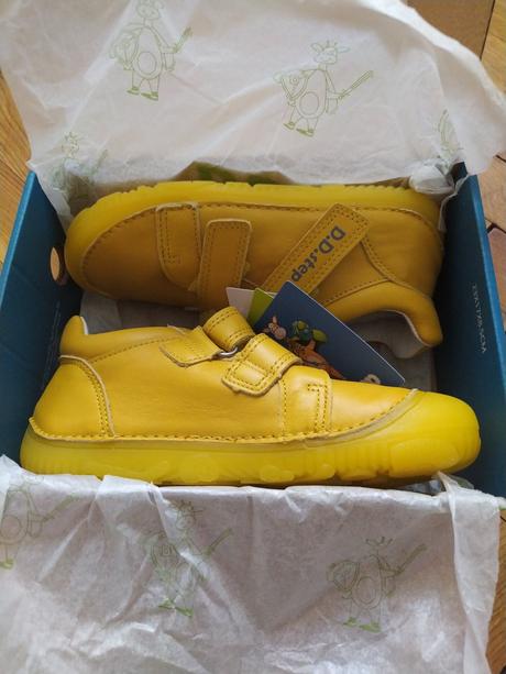 Dd step 31, d.d.step,31