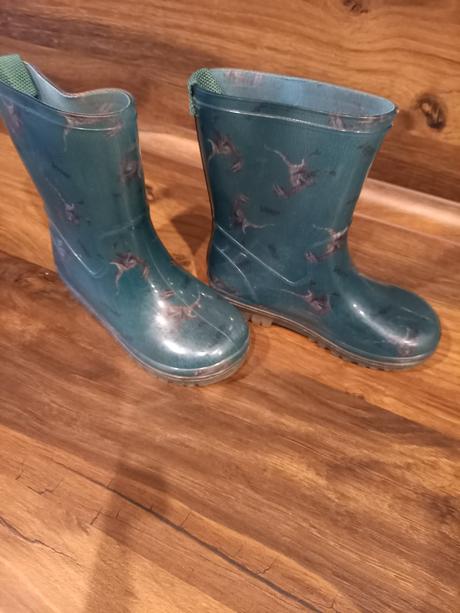 Gumáky dinosaurus, 26