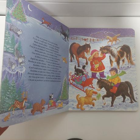 Moje najkrajsie vianoce, 