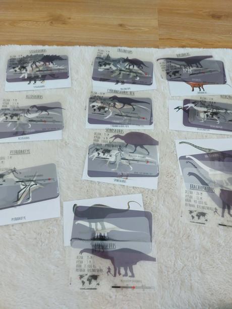 Montessori dinosaury, 