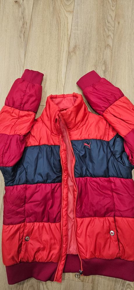 Bunda, puma,38