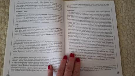 Kniha súhrn slovenského jazyka, 