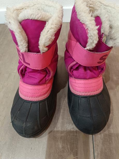 Snehule sorel, sorel,31