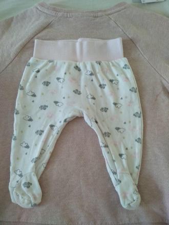 Polodupky, baby,62