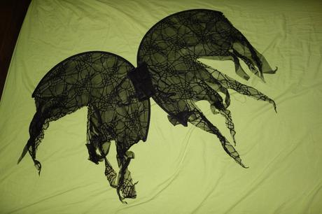 Novy kostym pre pavuciu vilu,