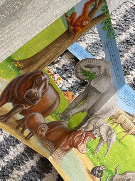 Zvedavá opička kika (2006), 