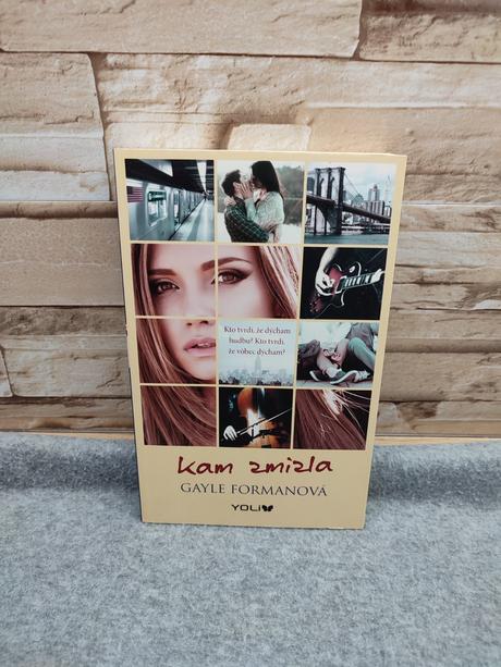 Kam zmizla - gayle forman, 