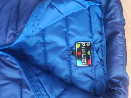 Vesta 104, pidilidi,104