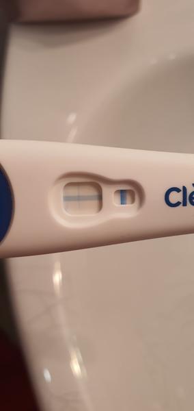 14 dní mi mešká menzes. Čo myslíte?