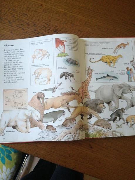 Knižka encyklopédia,