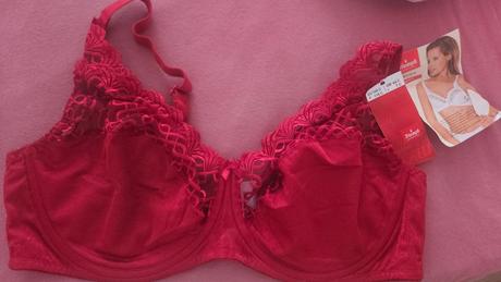 Dámska podprsenka triumph, triumph,100c