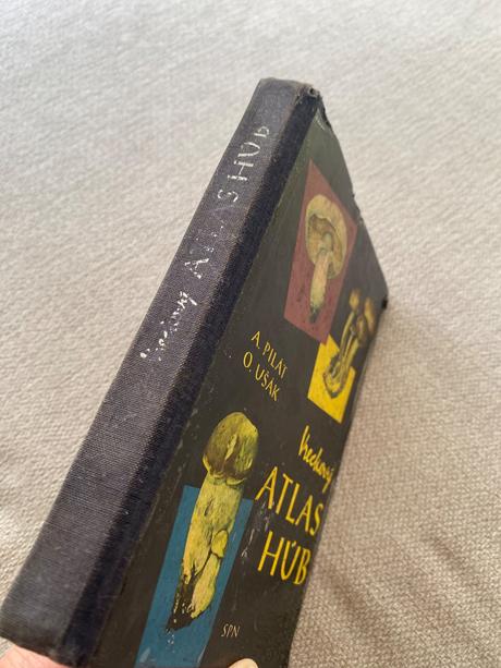 Vreckový atlas húb pilát ušák, 