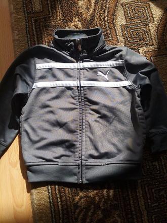 Mikinka, puma,92