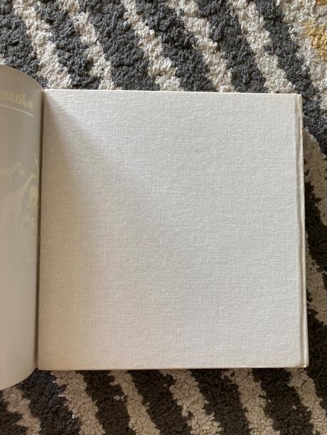 Lev nie je kráľom zvierat-prvé vyd.1981, 