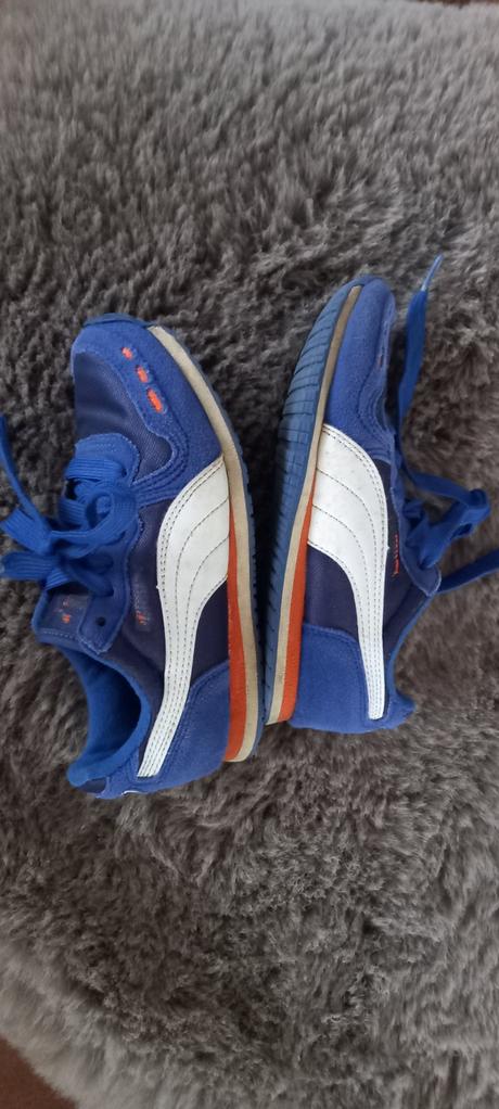 Botasky, puma,31