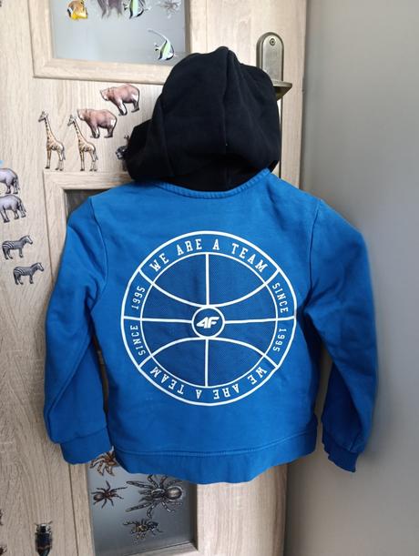 Mikina 4f, alpine pro,122