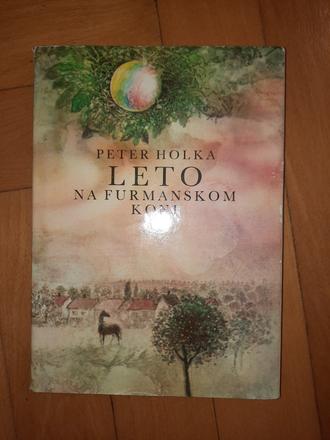 Kniha"leto na furmanskom koni", 