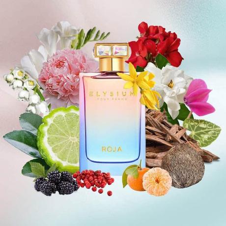 Roja parfums elysium pour femme parfum,