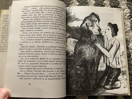 Hektor, vráť sa prvé vydanie 1985,