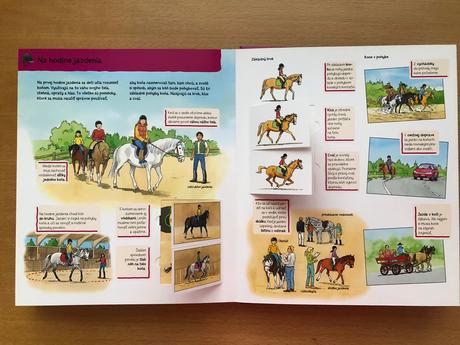 Kniha kone a poníky, 