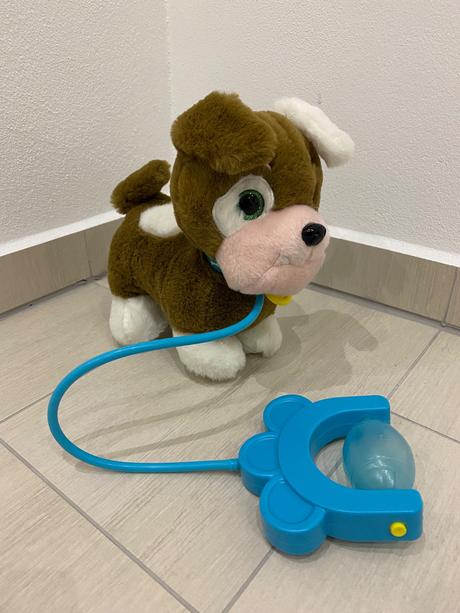 Predám psíka na vodítku, 