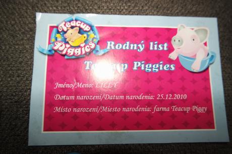 Teacup piggies-roztomilé prasiatko, 
