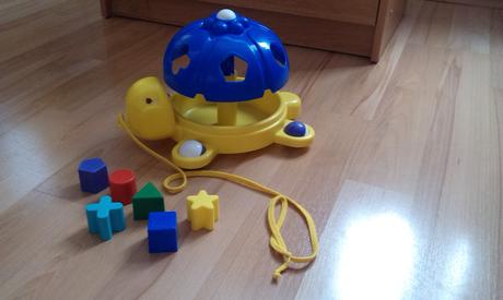 Korytnačka vkladačka,