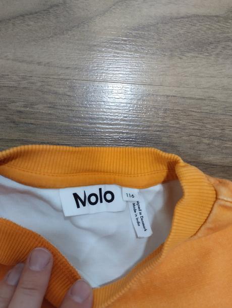 Mikiny s dinosaury molo, 116