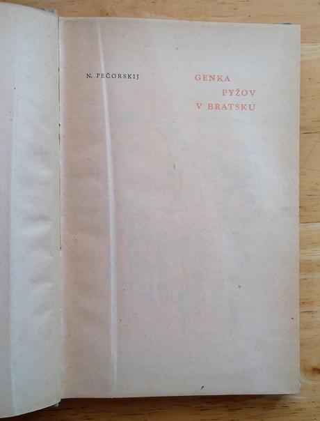 Genka pyžon v bratsku, n. pečorskij, 