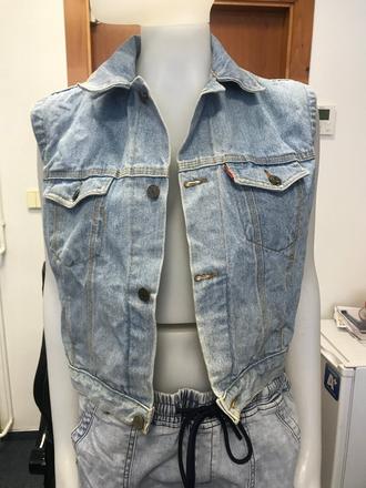 Vesta levis, levis,s