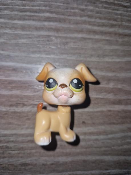 Lps littlest pet shop psik boxer,