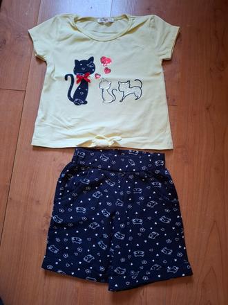 Letná súprava, 110