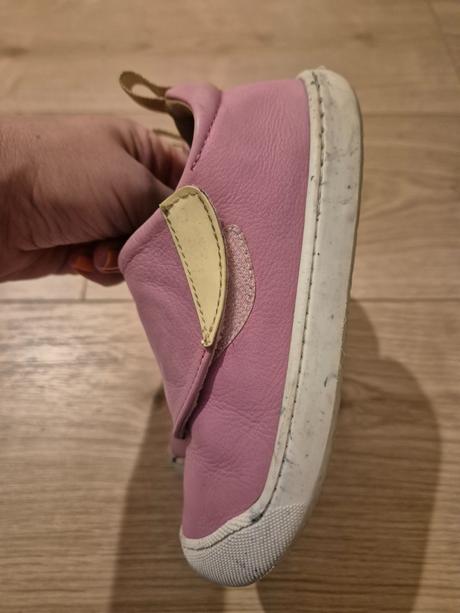 Barefoot acebos origin begonia, 28