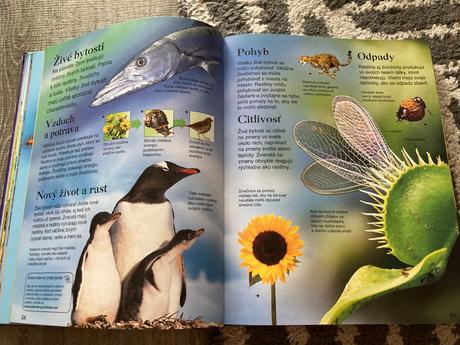 Detská encyklopédia (2004),