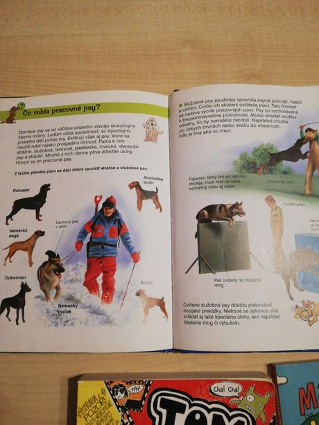 Knihy pre prvý stupeň, 