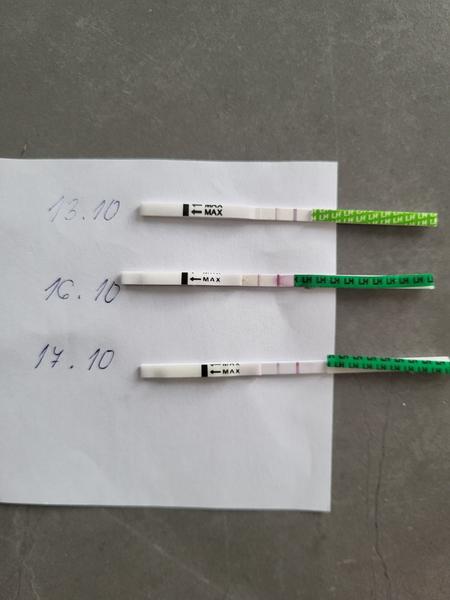 Ovulačné testy: Kedy je najvhodnejší čas skúšať?