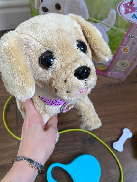 Baby born chodiaci psík,