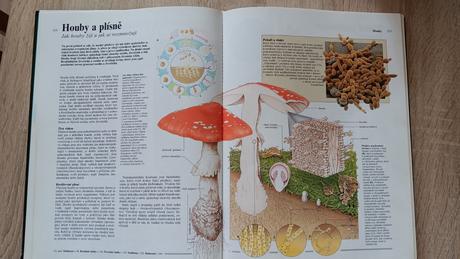 Kniha tajomstvo přírody,