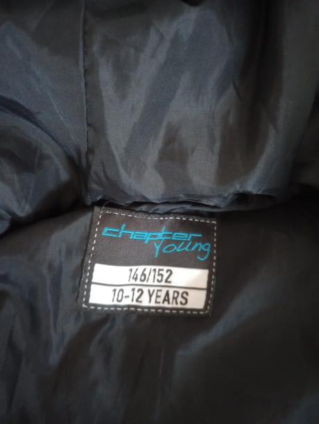 Vesta, chapter young,146