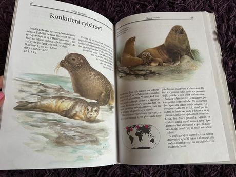 Zvieratá a ich mláďatá v zoo,