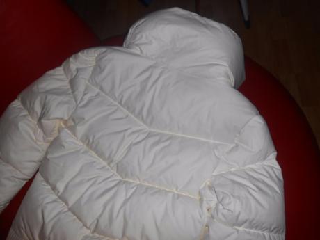 Bundička puma, puma,s