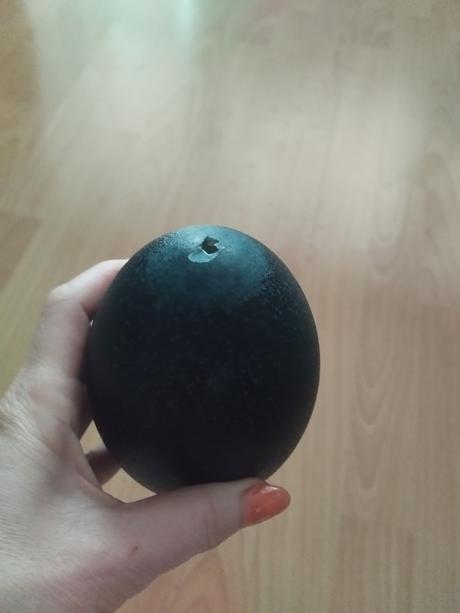 Prazdne pštrosie vajce, 