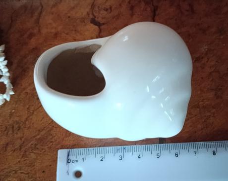 Dekorácia - mušľa, 