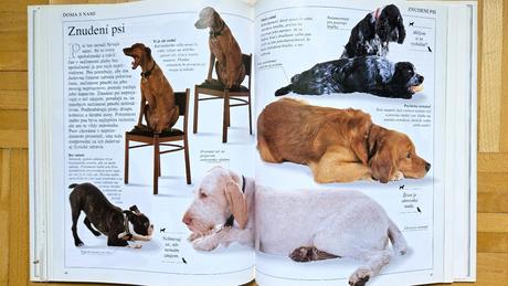 Kniha 'spoznaj svojho psa', bruce fogle, 