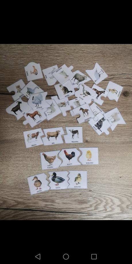 Puzzle zvieracie rodinky (pdf aktivita), 