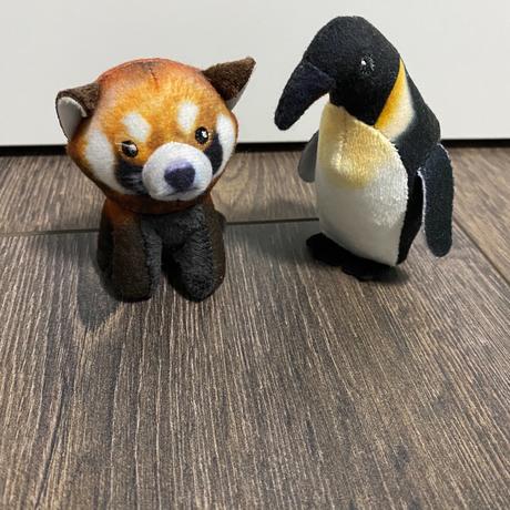 Medvedík a tučniak,