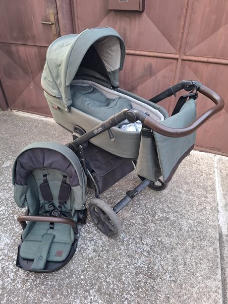 Kočík roan bloom, roan,roan bloom