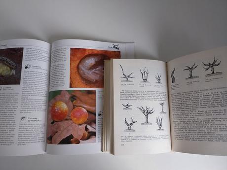 Zlacnene zahradkarske, beletria, stavebnictvo atd,