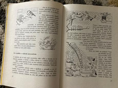 Utečenec na vtáčom strome (1982), 